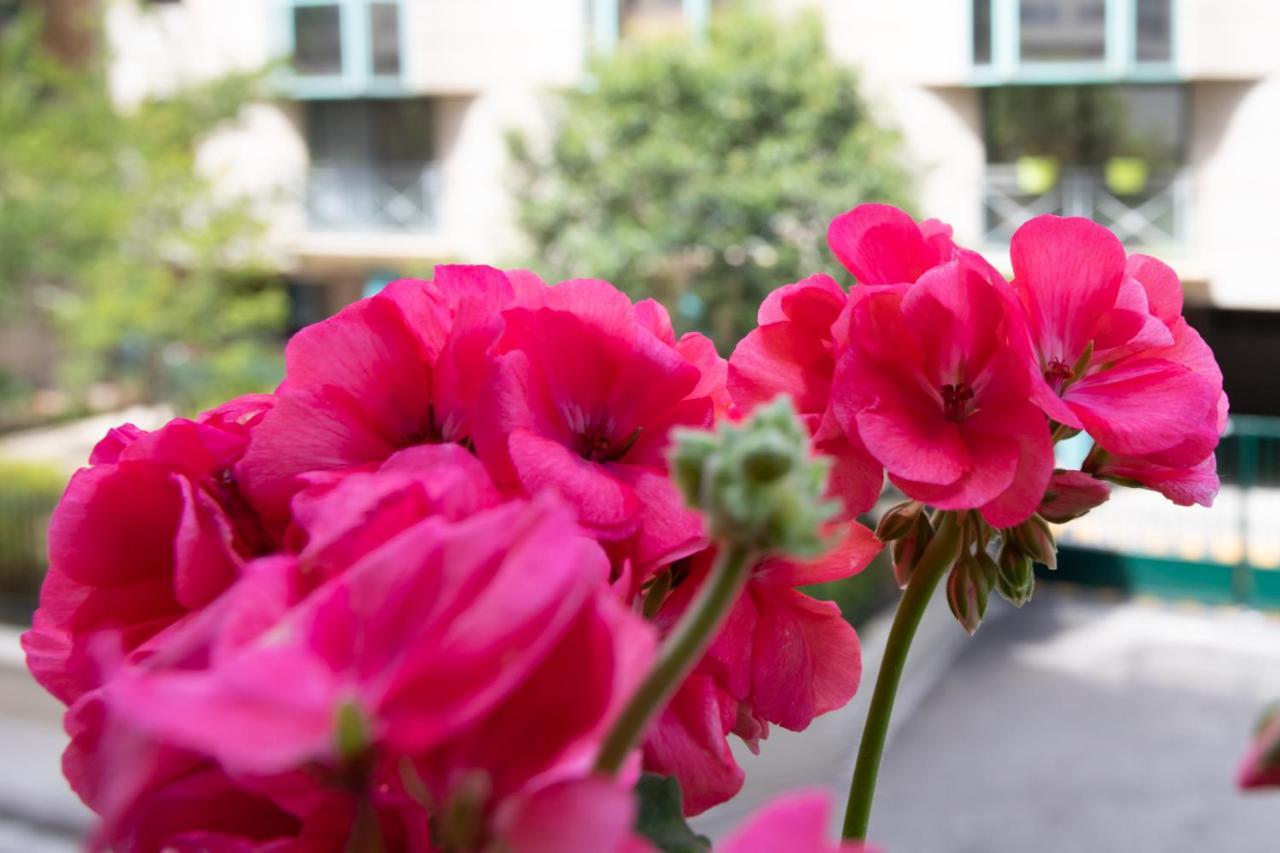Boutique Apartment Nice Center Beach Free Parking 外观 照片